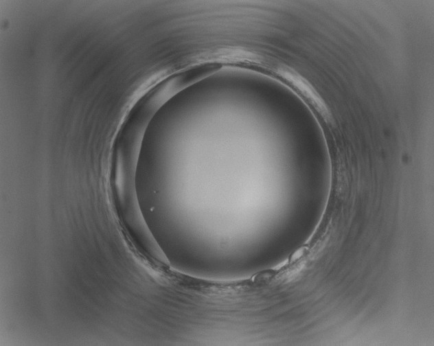 X0000051250850200506171134