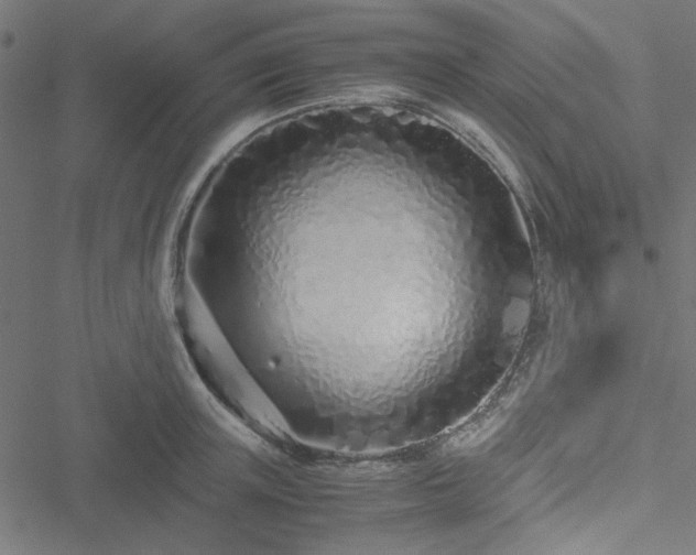 X0000051250851200506171134