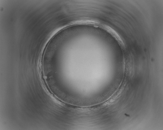 X0000051250852200506171134