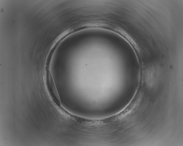 X0000051250853200506171134