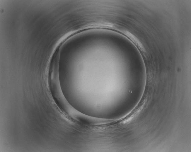 X0000051250854200506171134