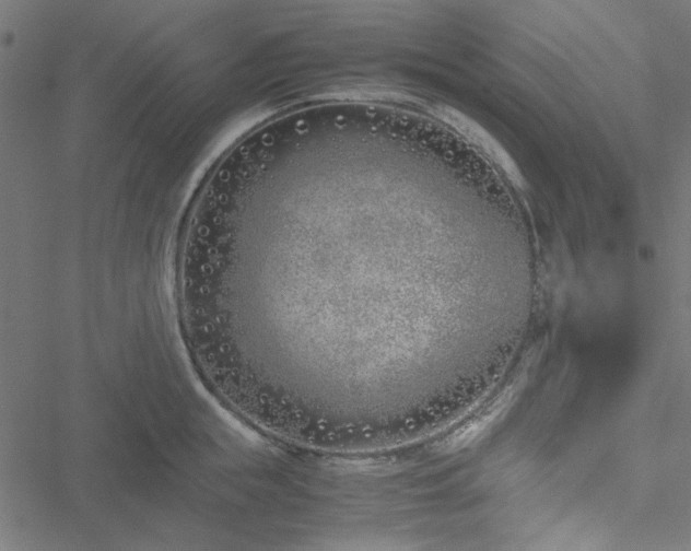 X0000051250855200506171134