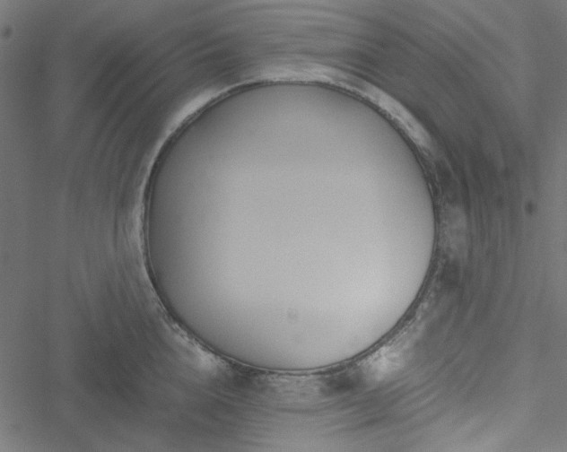 X0000051250856200506171134