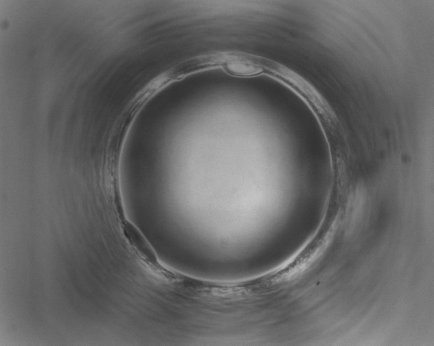 X0000051250857200506171134