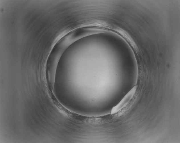 X0000051250858200506171134