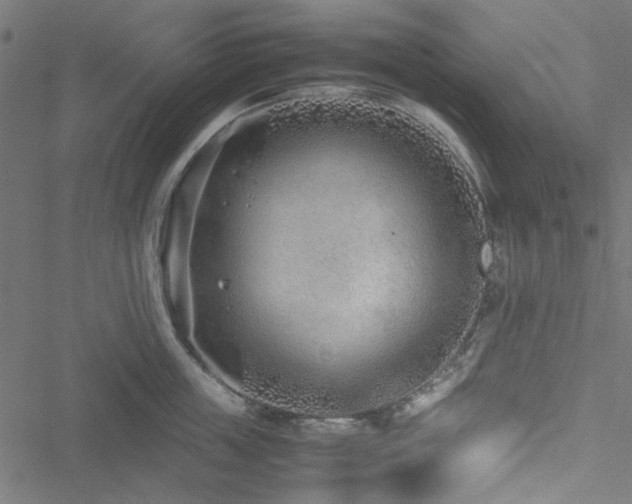 X0000051250859200506171134