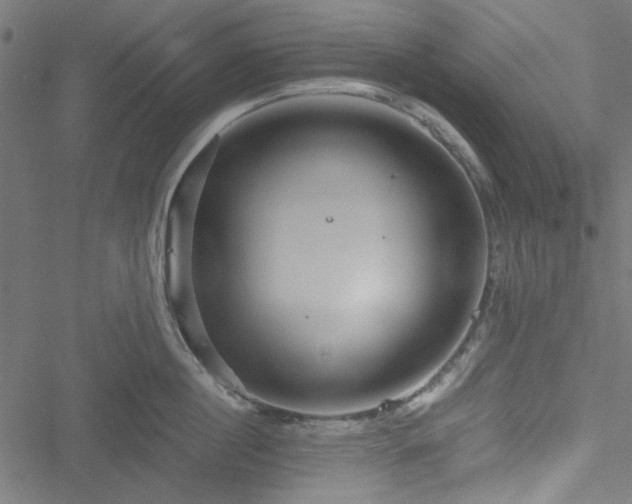 X0000051250860200506171134