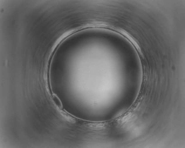 X0000051250861200506171134