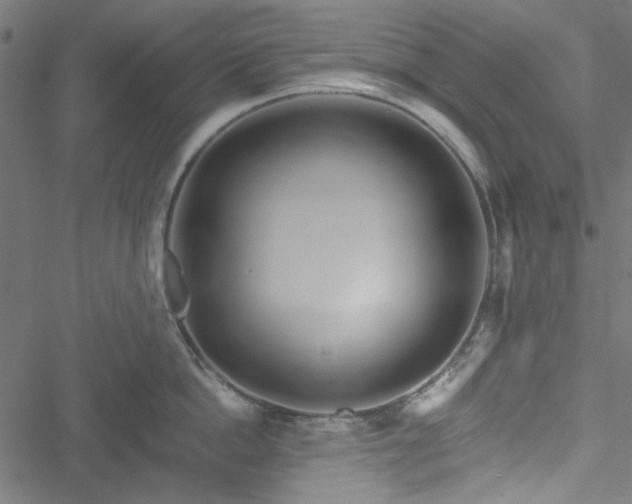 X0000051250862200506171134