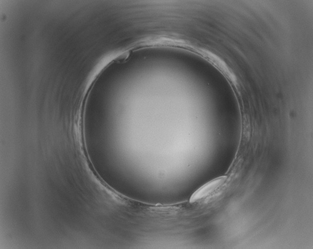 X0000051250863200506171134