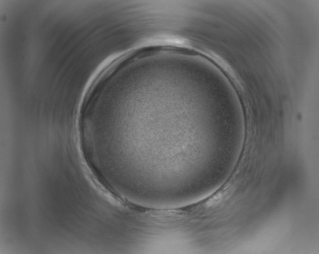 X0000051250864200506171134