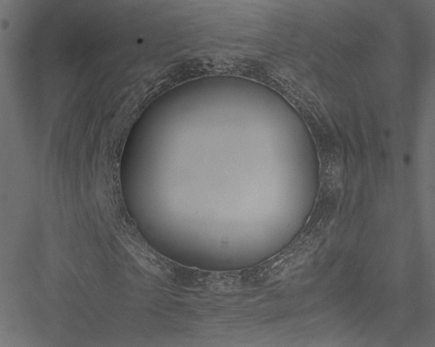 X0000051250865200506171133