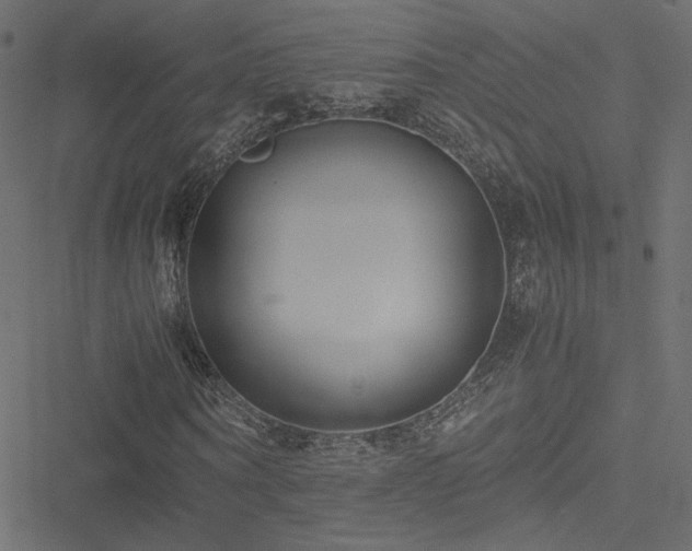 X0000051250866200506171133