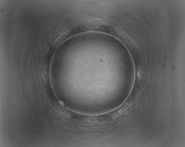 X0000051250867200506171133