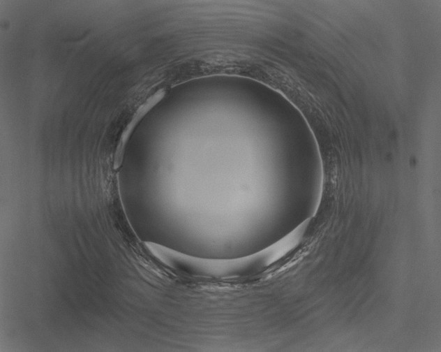 X0000051250868200506171133