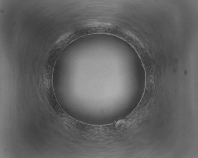 X0000051250869200506171133