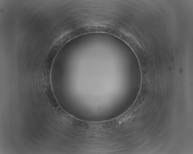 X0000051250870200506171133