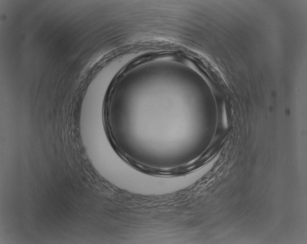 X0000051250871200506171133