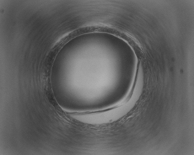 X0000051250872200506171133