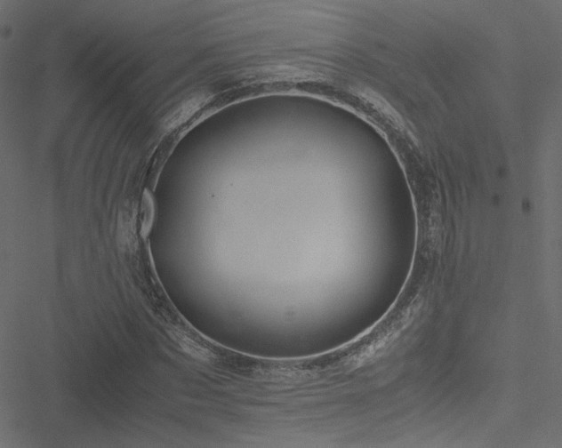 X0000051250873200506171133