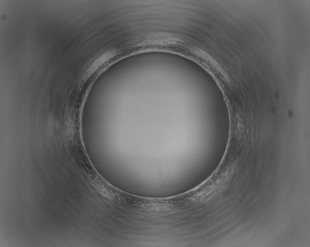 X0000051250874200506171133