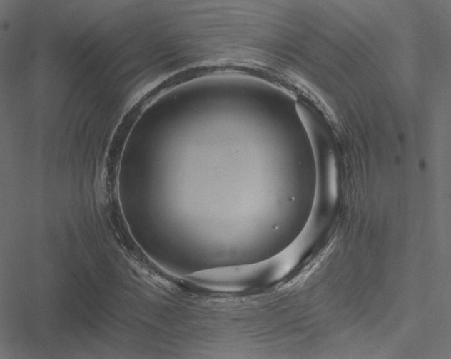 X0000051250876200506171133