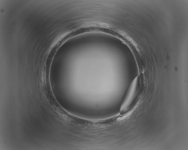 X0000051250877200506171133