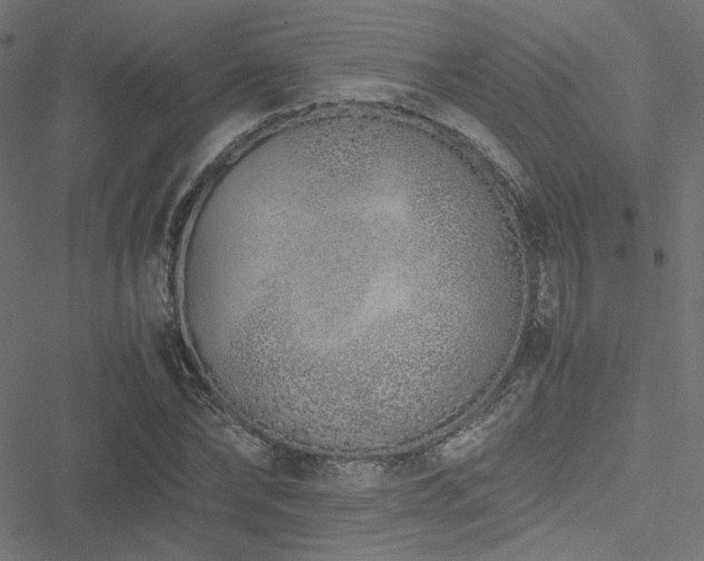 X0000051250878200506171133