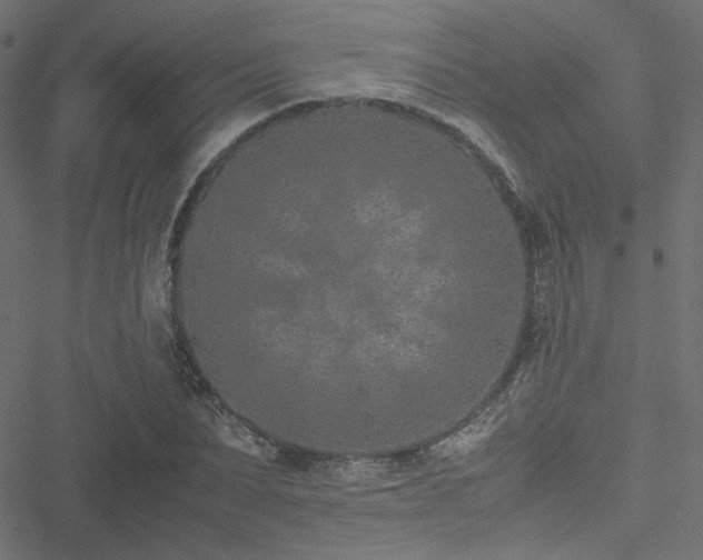 X0000051250879200506171133