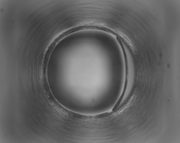 X0000051250880200506171133