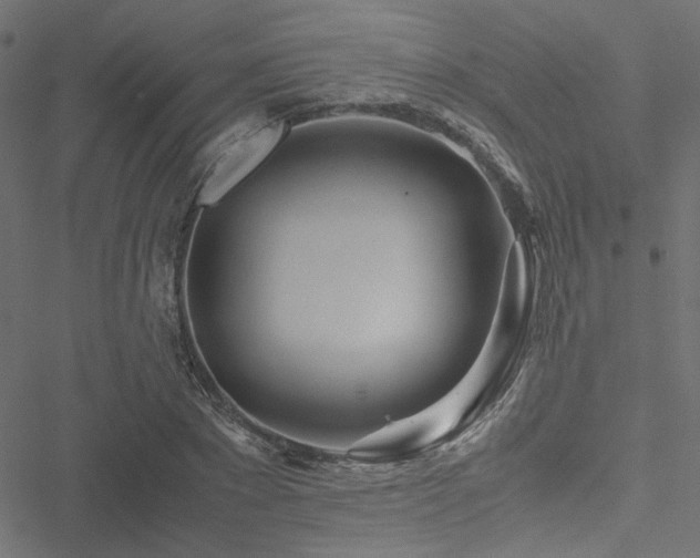 X0000051250881200506171133