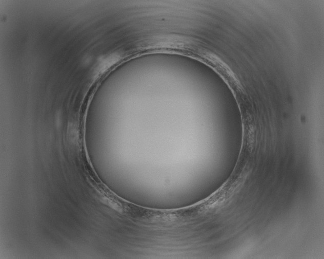 X0000051250882200506171133