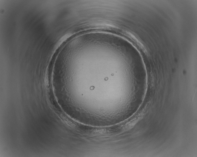 X0000051250883200506171133