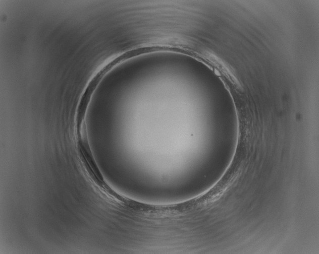 X0000051250884200506171133