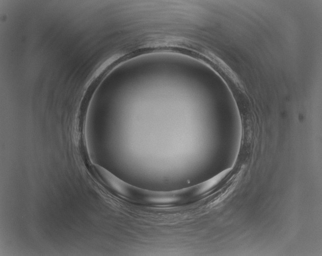 X0000051250885200506171133