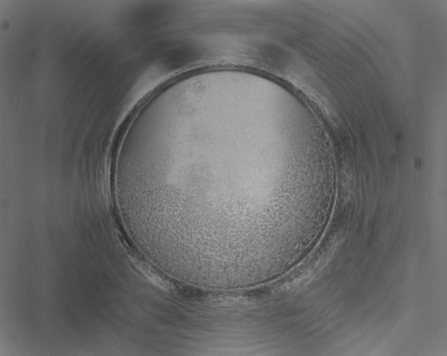 X0000051250886200506171133