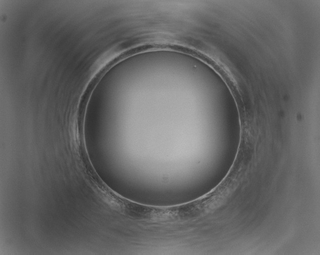 X0000051250887200506171133