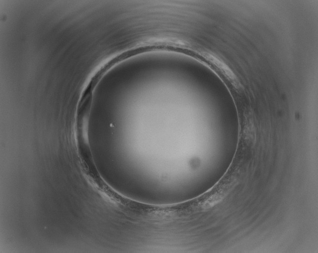 X0000051250888200506171133