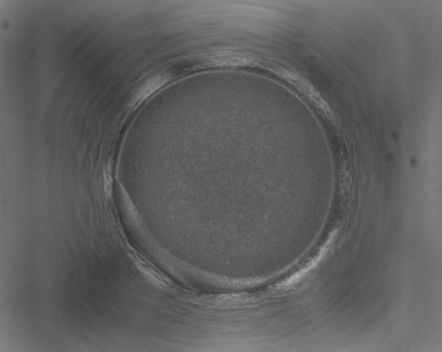 X0000051250889200506171133