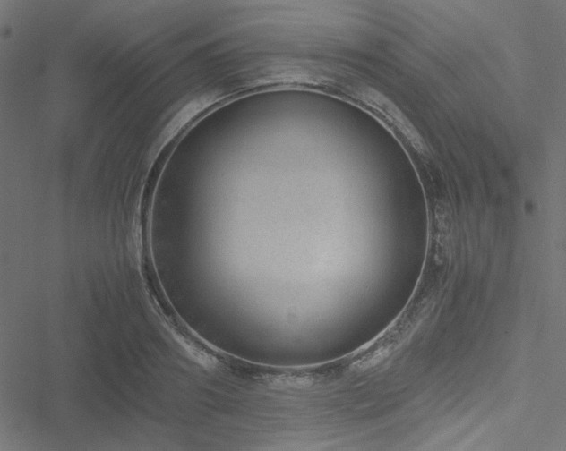 X0000051250890200506171133