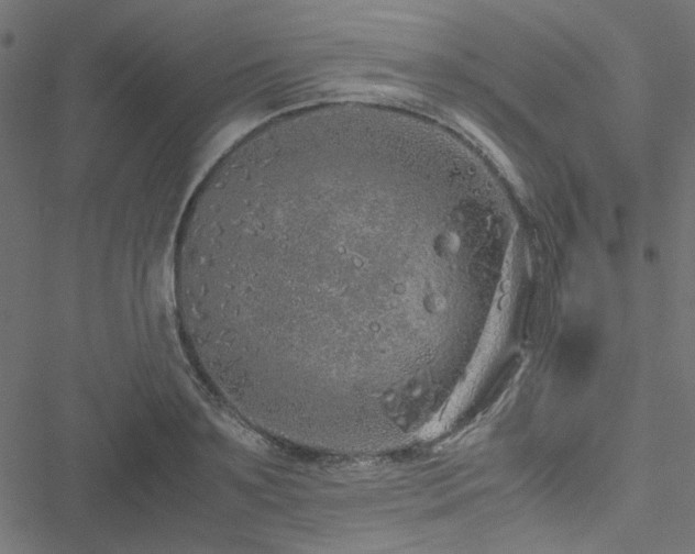 X0000051250891200506171133