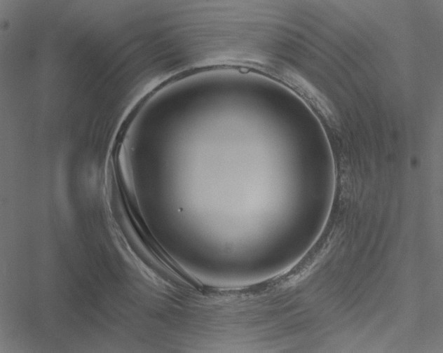 X0000051250892200506171133