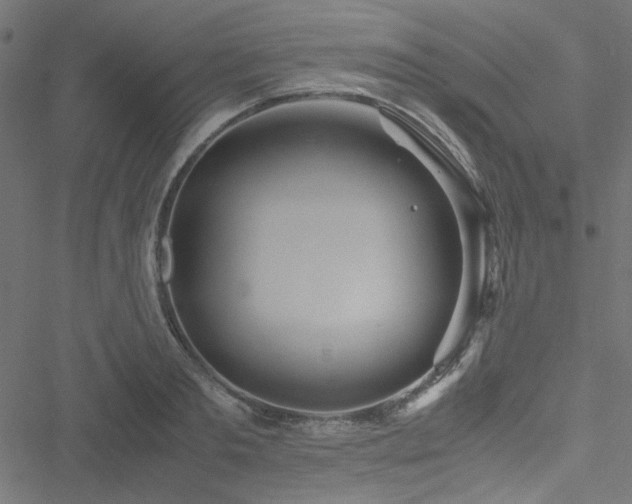 X0000051250893200506171133