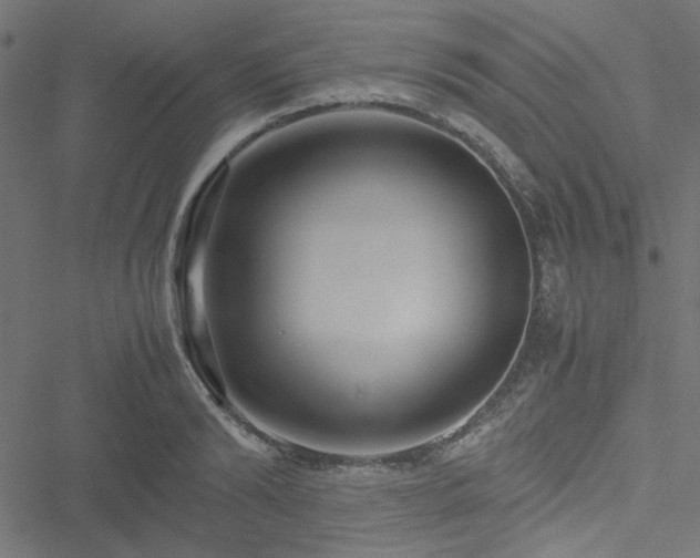 X0000051250894200506171133