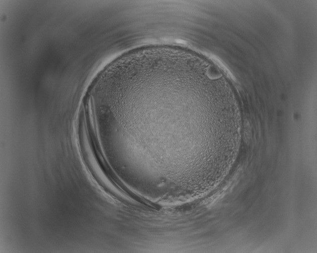 X0000051250895200506171133