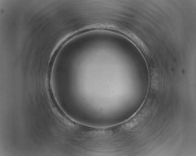 X0000051250896200506171133