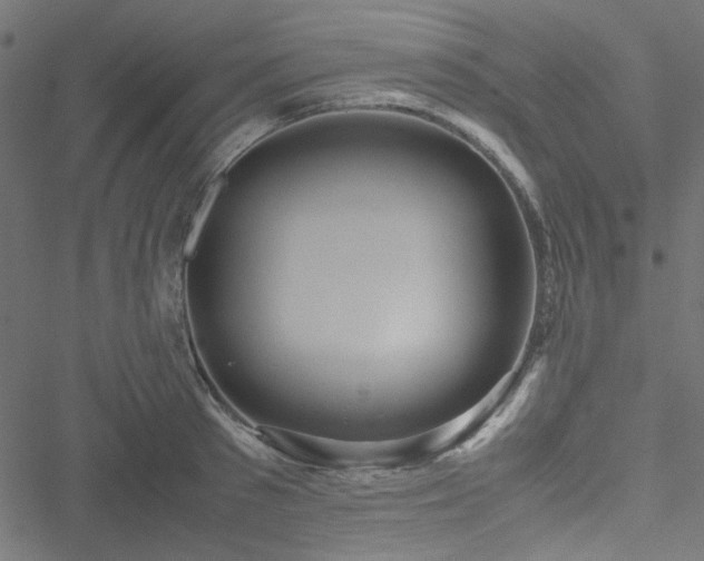 X0000051250897200506171133