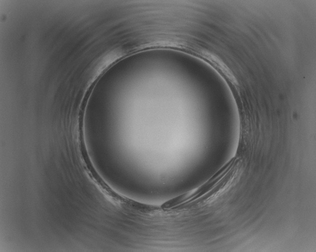 X0000051250898200506171133