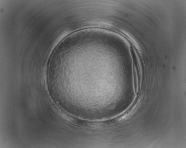 X0000051250899200506171133