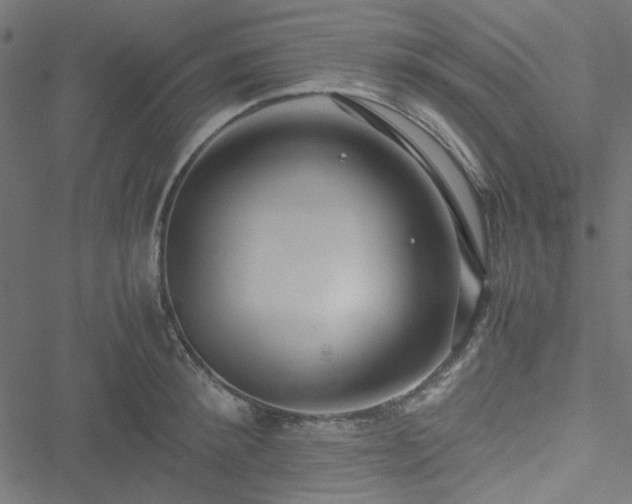 X0000051250900200506171133